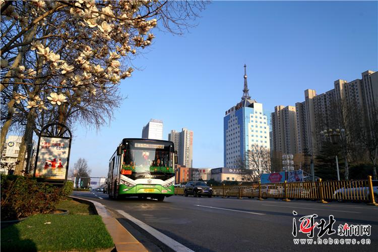 公交车上的白洁：城市流动的风景