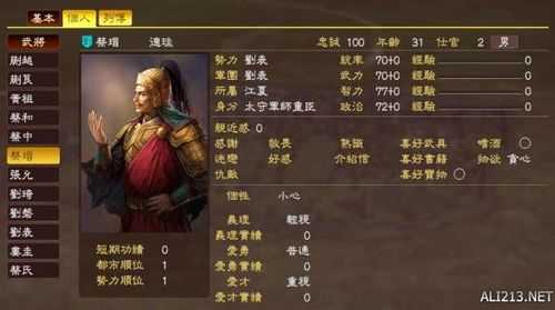 三国志13技能攻略，从新手到大神的蜕变之路