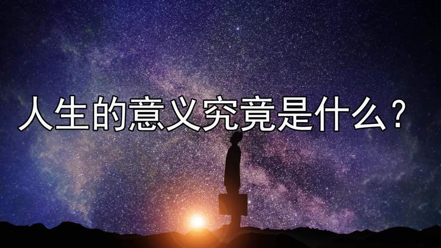 茄子视频你懂的拯救你寂寞人生的终极指南