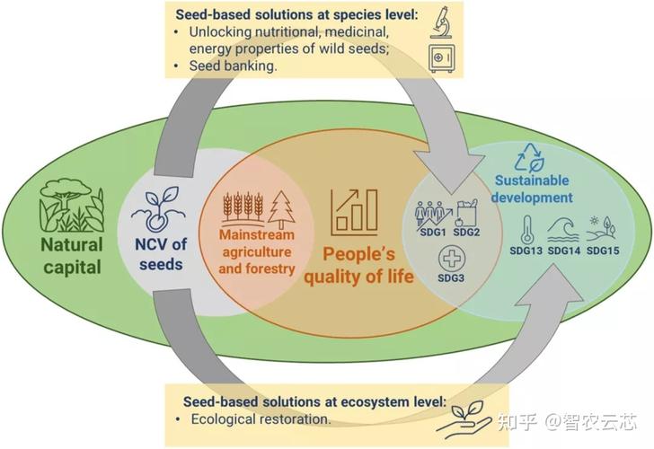 畜禽养殖业的绿色革命探寻未来农业可持续发展的新路径