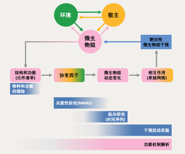 探索软件生态系统分析宿主软件的独特视角