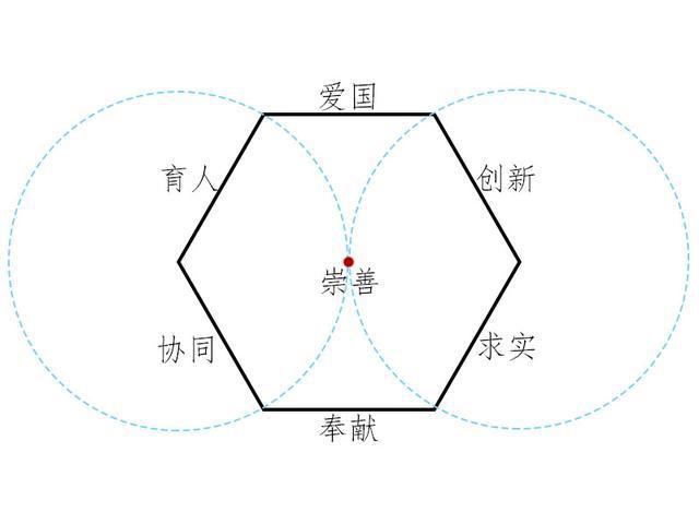 蜂巢里的杂音探索混乱一家子的生活哲学