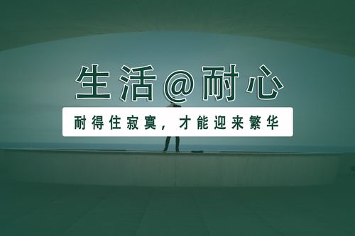 视频提取软件让寂寞不在，让生活更有乐趣