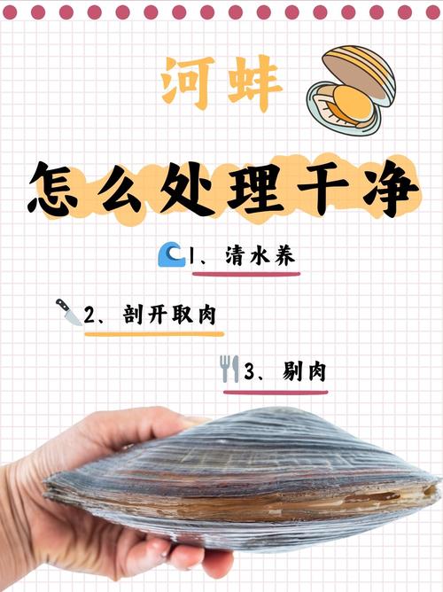 河蚌的清洗与烹饪从河底到餐桌的华丽变身