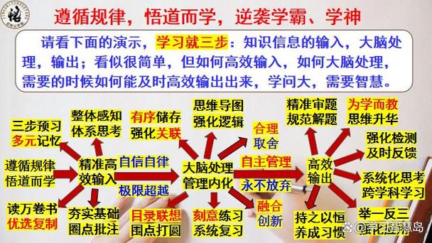 掌握技能的策略从掌握知识到内化能力