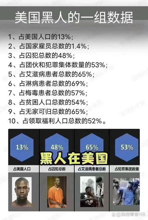 黑人聚居区的发展变迁与社会挑战