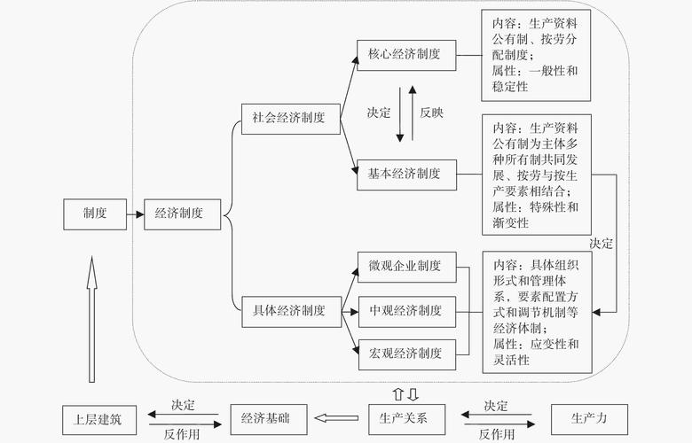 探索NP系统的奥秘从理论到实践