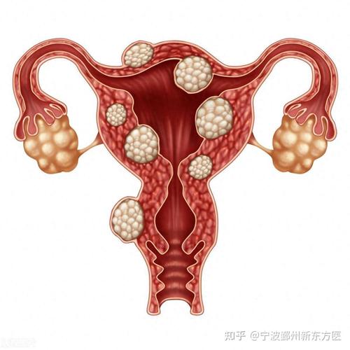 以科学视角看待女性生殖健康策略、实践与误解